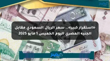 «استقرار كبير».. سعر الريال السعودي مقابل الجنيه المصري اليوم الخميس 1 مايو 2025